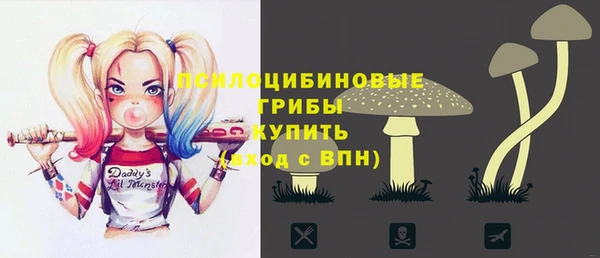 прущий лед Арсеньев