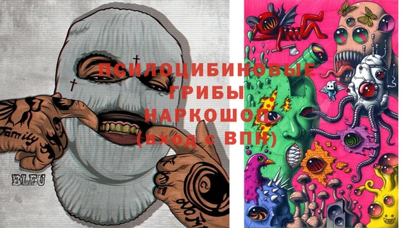 прущий лед Арсеньев