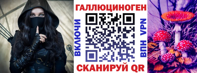Купить  Янаул  Галлюциногенные грибы Cubensis 